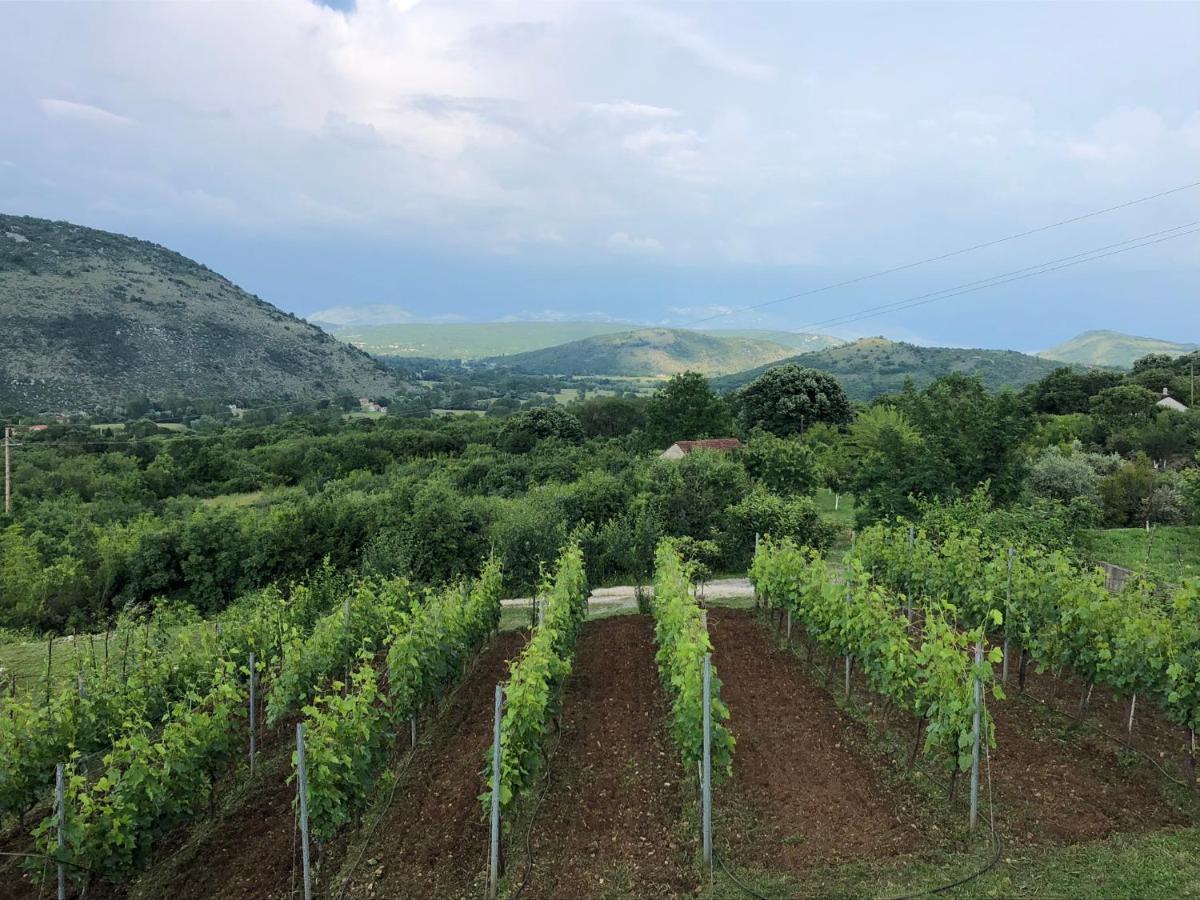 Green Silence - Iva Danilovgrad Dış mekan fotoğraf