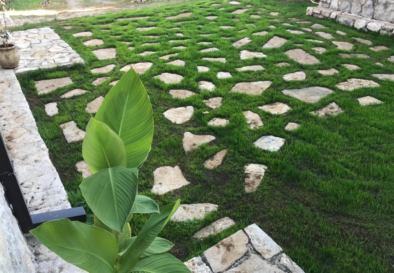 Green Silence - Iva Danilovgrad Dış mekan fotoğraf