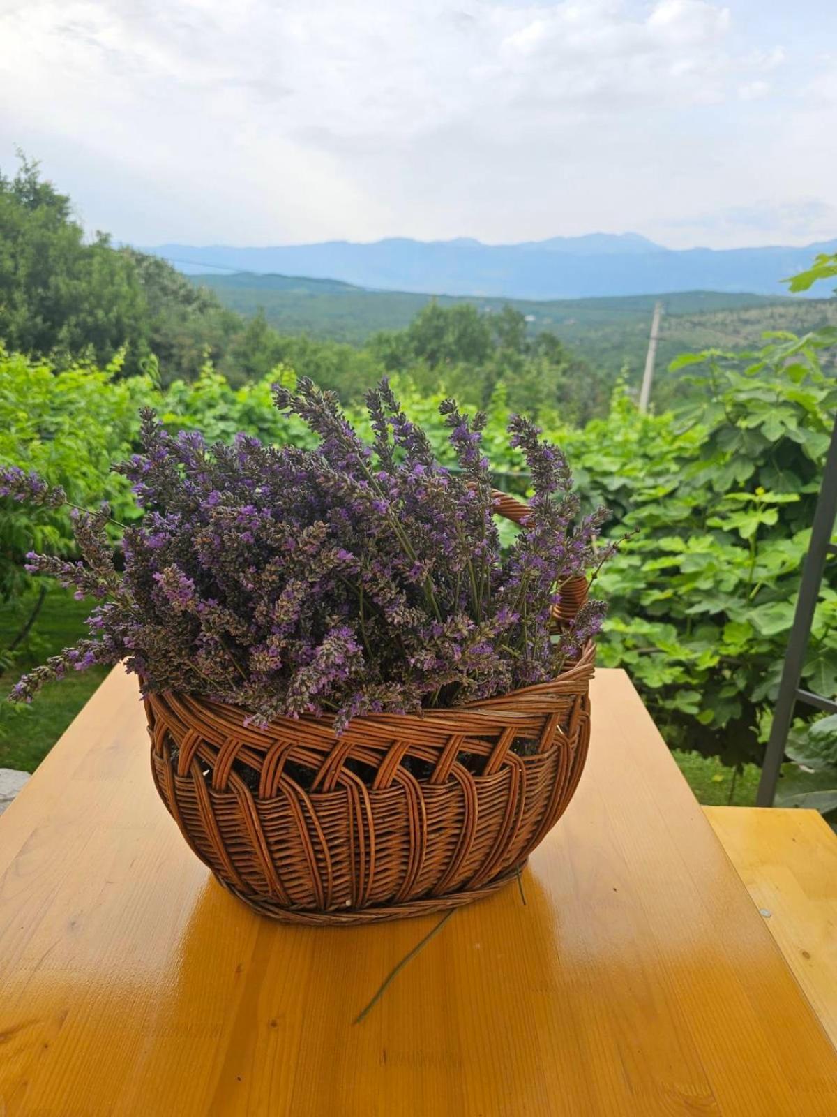 Green Silence - Iva Danilovgrad Dış mekan fotoğraf